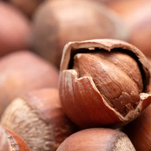 Olio di Nocciola: l’ingrediente cosmetico dagli infiniti benefici per la pelle - Barò Cosmetics